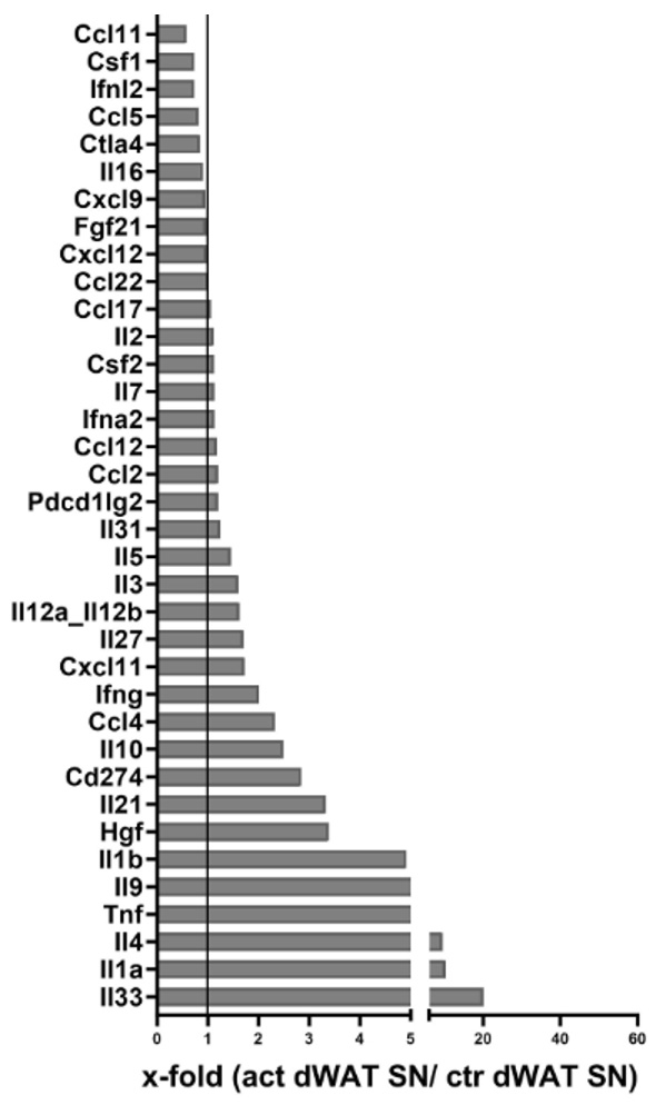 Secretome analysis of dWAT from control and IMQ-treated mice after 24-hour culture using the Olink Target 48 Mouse Cytokine Panel.