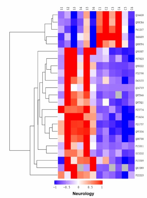 Heatmap of differentially expressed proteins between control and SAH groups derived from olink-neurology assay.