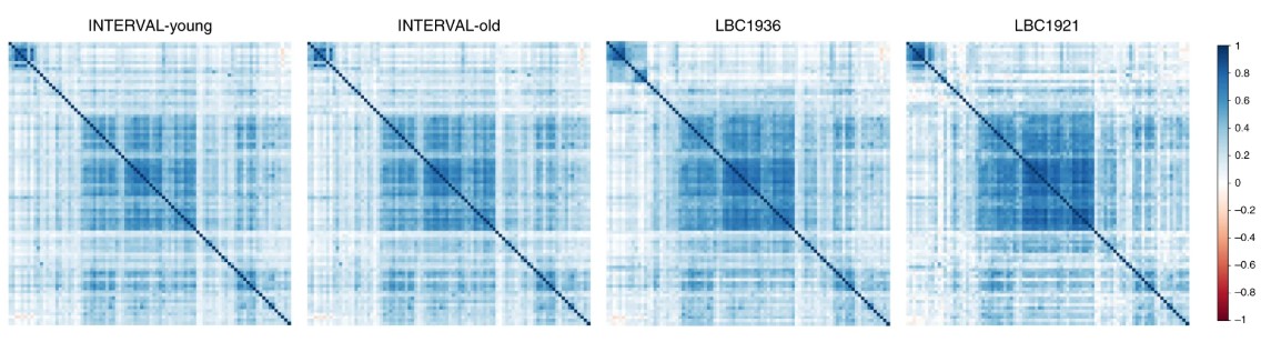Principal component analysis on the 90 neurology-related proteins.