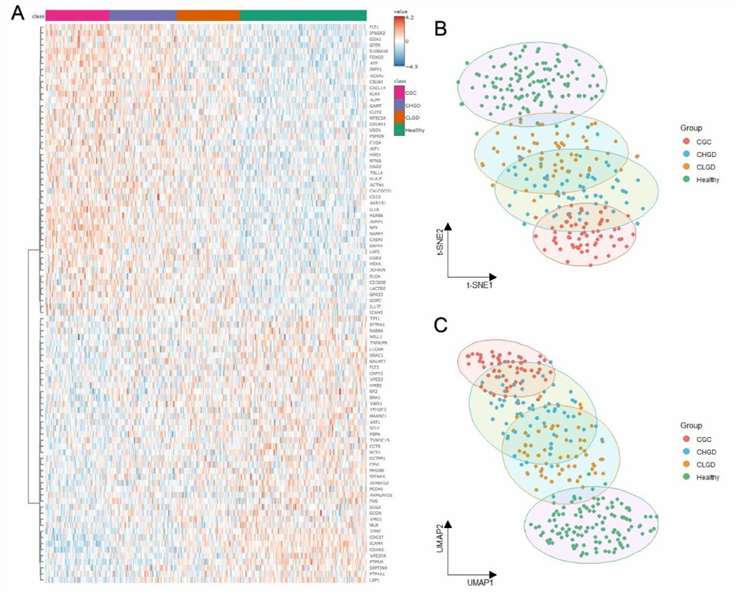 Heatmap showing protein expression differences between CGC and precancerous conditions.