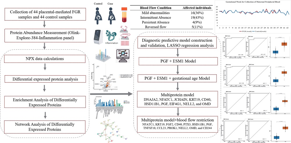 Olink Explore inflammation proteomics workflow diagram