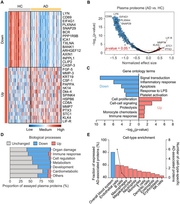 Plasma proteomics changes linked to Alzheimer's disease