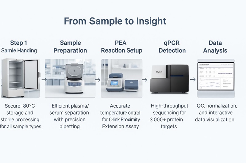 From Sample to Insight workflow showing freezer, centrifuge, PEA setup, Olink qPCR, and data analysis.