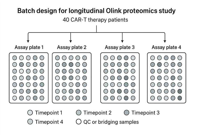 Olink proteomics batch design for longitudinal CAR-T plasma samples