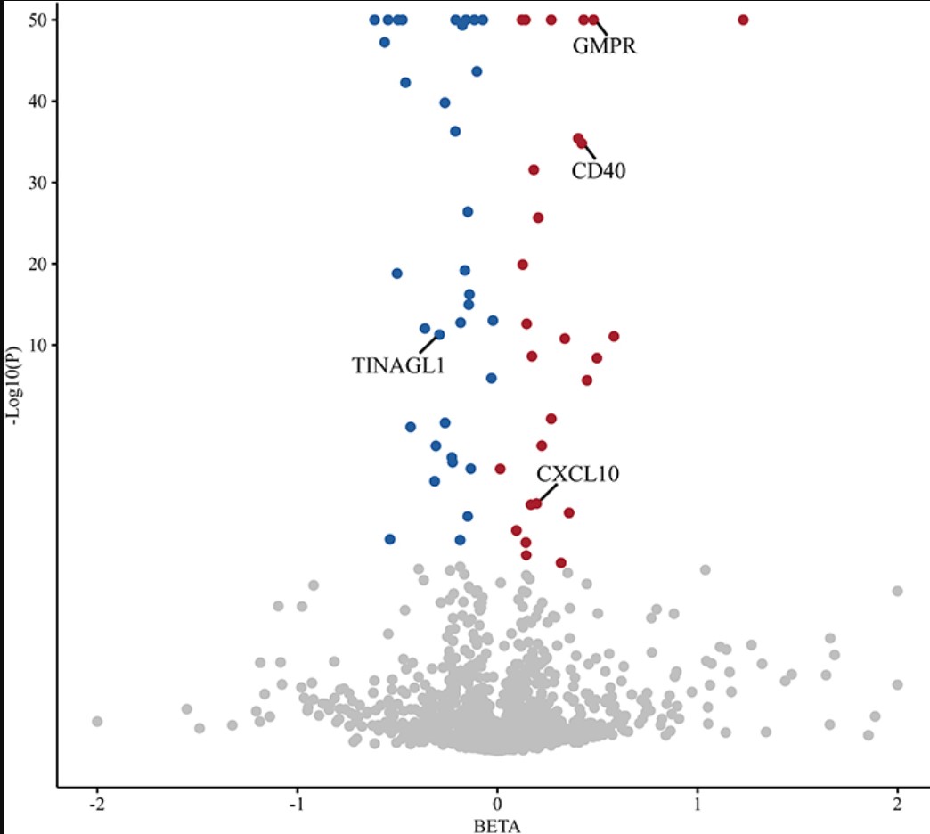 Volcano plot showing causal relationships between plasma proteins and Graves' disease (GD) pathogenesis