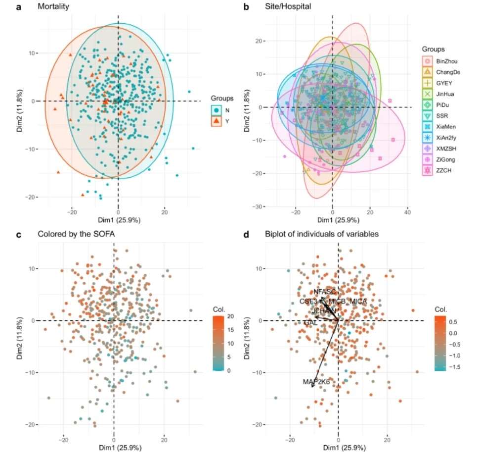 Multivariate PCA visualization of proteomic data stratified by biological/technical factors.