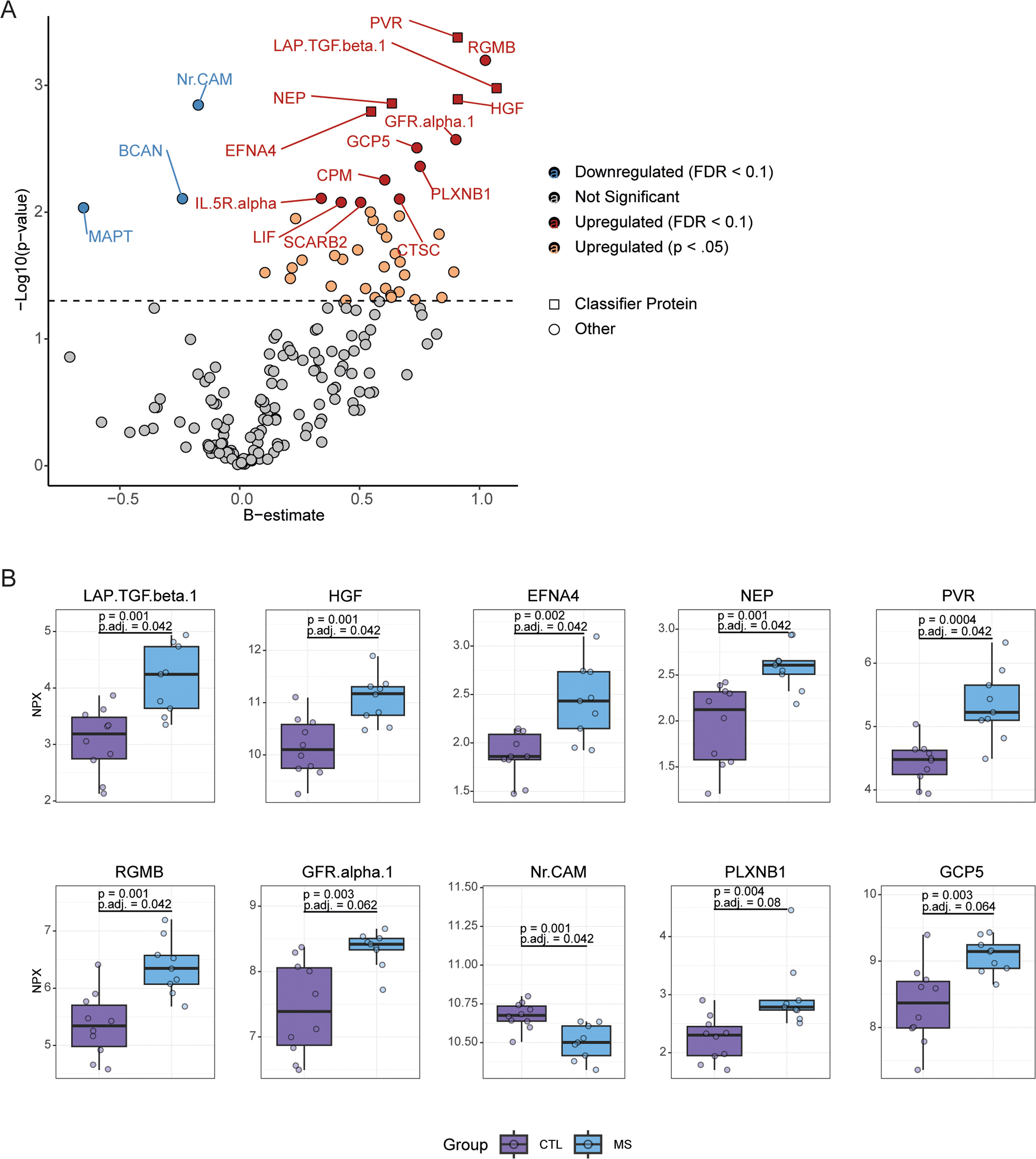 Graphic showing protein level differences in MS patient brain tissue, highlighting neuroinflammatory pathways.