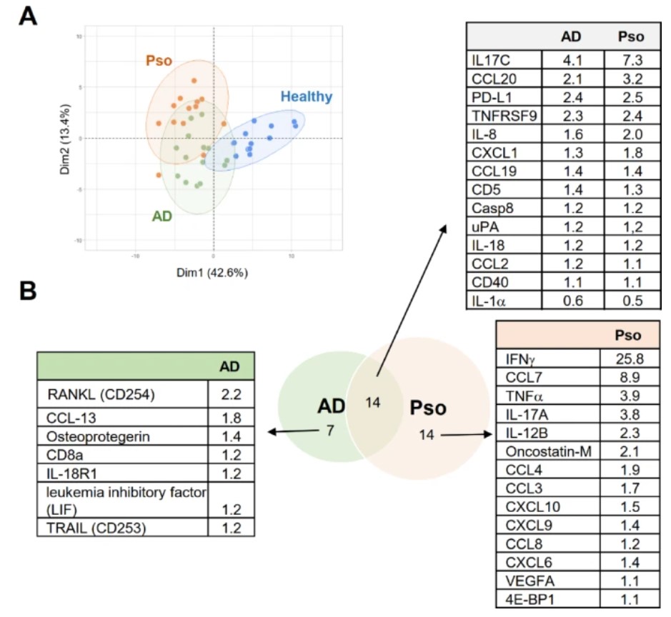Analysis of differences in inflammatory marker levels in skin biopsy samples from patients with dermatoid disease and atopic dermatitis.