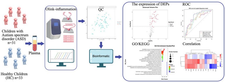 Plasma Olink proteomics workflow strategy diagram