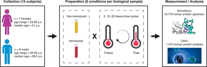 Figure 1. Cytokine panel workflow for immune profiling study