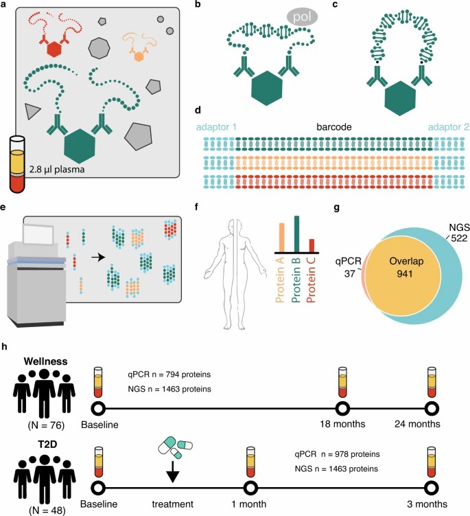 Figure 2. PEA-NGS assay workflow with research cohort design