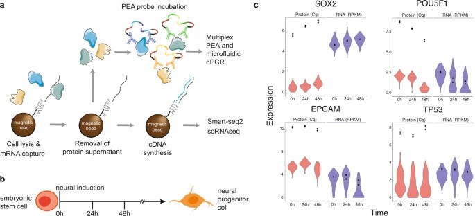Figure 3. Single-cell multiplex PEA panel with Olink proteomics